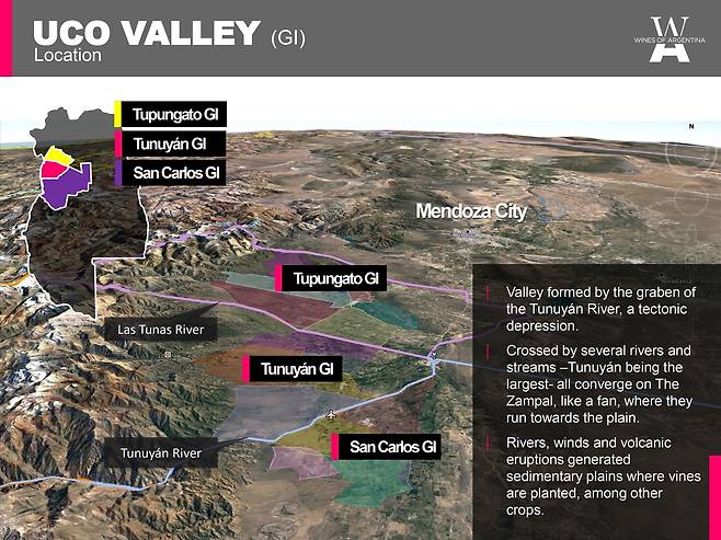 우코밸리 세부 산지. 아르헨티나와인협회
