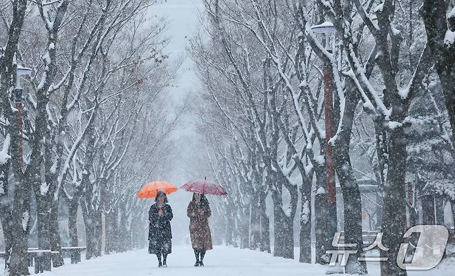 대전과 충청지역 곳곳에 대설주의보가 발효된 24일 오전 대전 서구 보라매공원에서 시민들이 우산을 쓰고 지나고 있다. 2026.2.24 ⓒ 뉴스1 김기태 기자