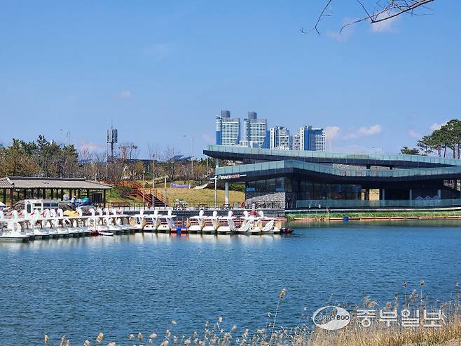 인천 서구 청라호수공원 레이크하우스 수상레저 체험시설에 운영이 중단된 오리배들이 정박돼 있다. 사진=최기주 기자