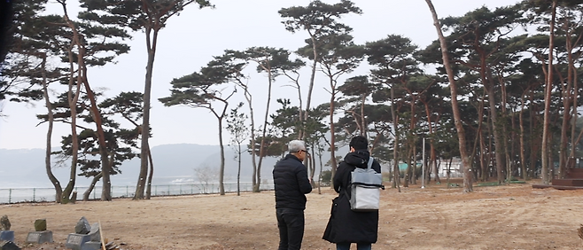 ▲ 100여년 전 만세운동이 있었던 인천 옹진군 덕적도 진리 해변에서 노송들이 묵묵히 그날의 기억을 증언하듯 서 있다. 권순학 덕적면 주민자치회장이 그날 있었던 운동 과정을 취재진에게 설명하는 모습. /박준엽 수습기자 jun010209@incheonilbo.com