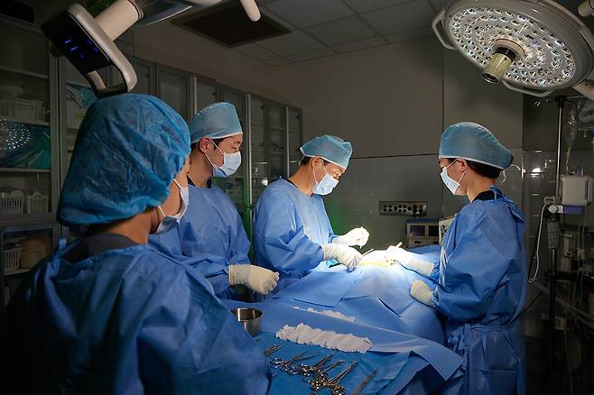 건국대 수의대, 동물병원, 공동연구원 등에서 건국대 의료진과 연구진이 ‘원헬스’ 관련 연구에 매진하고 있다. 건국대 제공