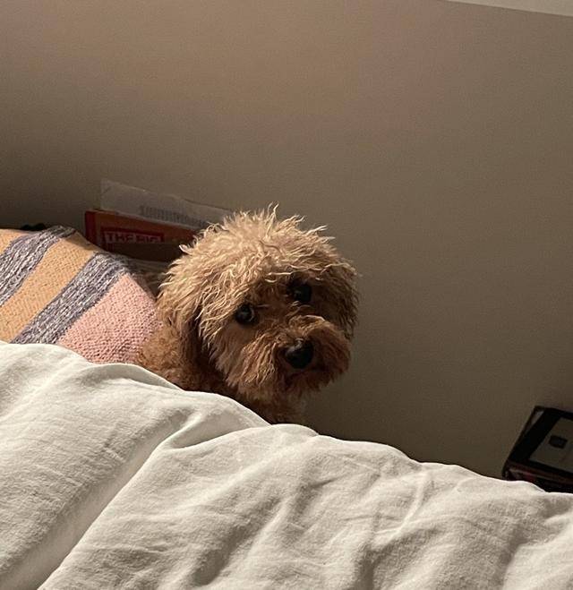 아직 불신이 가득했던 과거의 콤부. 보호자 제공