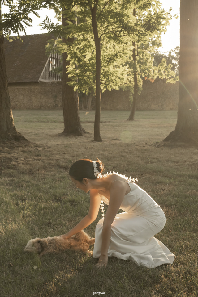 결혼식도 콤부와 함께! 보호자 제공