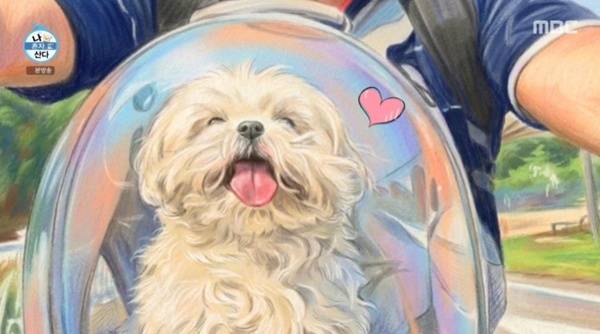 MBC '나 혼자 산다'