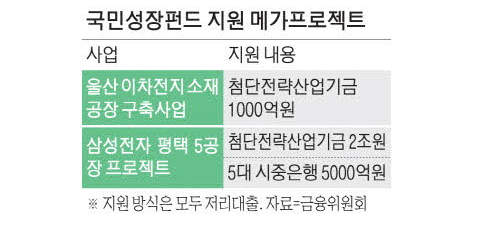 국민성장펀드 지원 메가프로젝트 사업 /금융위원회