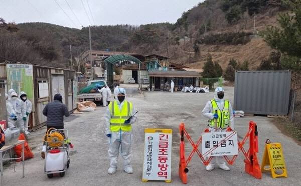 아프리카돼지열병 발생 현장에서 관계자들이 출입 통제를 하고 있다.