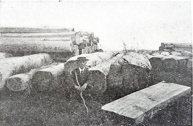 일제강점기 한반도 원시림에서 벌목된 나무가 일본 운송을 위해 공터에 쌓여 있는 모습. 녹색연합 제공.