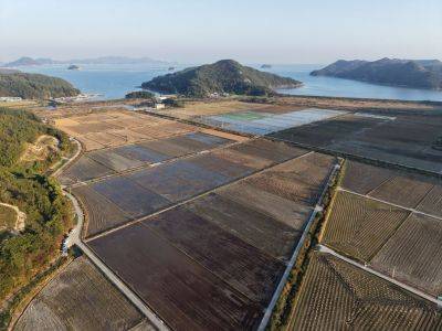 고흥 도화 구암 배수 개선사업 대상지. 고흥군 제공