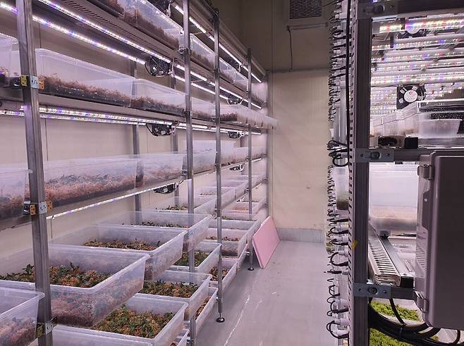 데모 이끼 수직형 스마트팜. 하이모스 제공