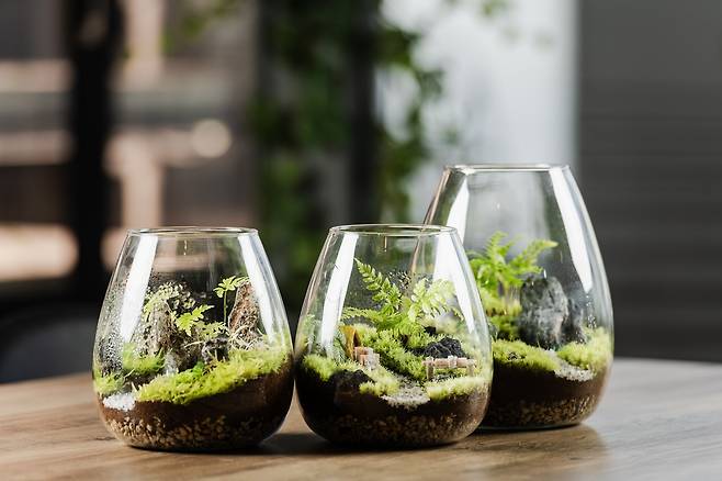 제품 사진. 하이모스 제공