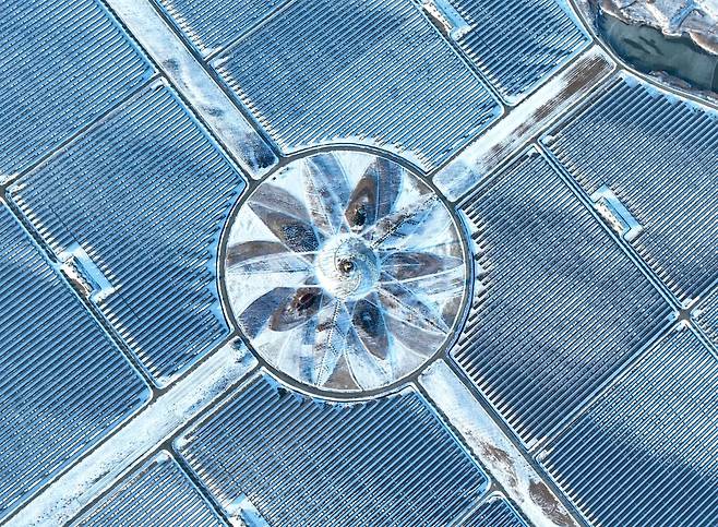 지난달 23일 전남 해남군에 위치한 솔라시도 태양광 발전소 태양광 패널 위로 전날 내린 하얀 눈이 쌓여 있다.