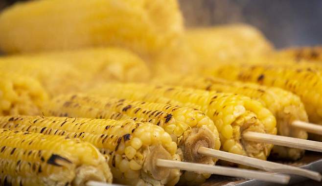 미국 건강매체 베리웰헬스는 대장암 예방에 도움이 될 수 있는 식품을 소개했다./사진=클립아트코리아