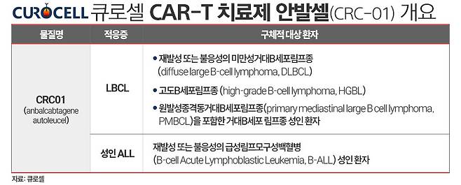 / 표=김은실 디자이너
