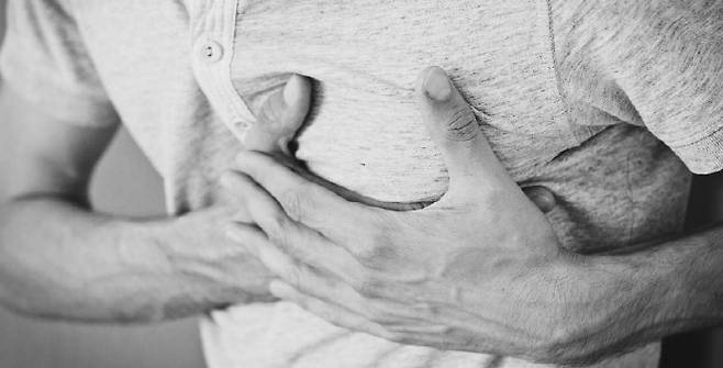 자료사진 출처=픽사베이