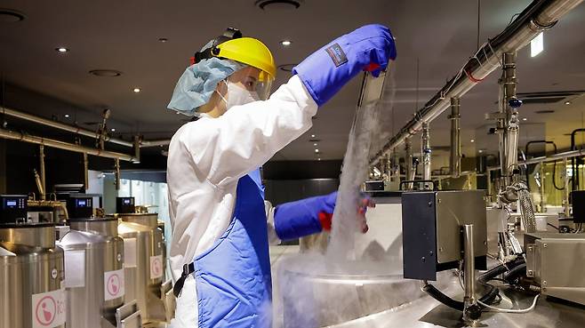 의료진이 차바이오그룹 바이오뱅크 내 냉동탱크에서 줄기세포를 꺼내 확인하고 있다. 바이오뱅크는 줄기세포를 비롯해 제대혈, 난자·정자, NK세포 등 인체세포를 보관하는 곳이다. 차병원이 운영하는 차움에선 외국 부호와 유명 스포츠 선수들의 줄기세포를 보관하고 있다. 나중에 병이 들면 치료제로 쓴다. /차바이오그룹