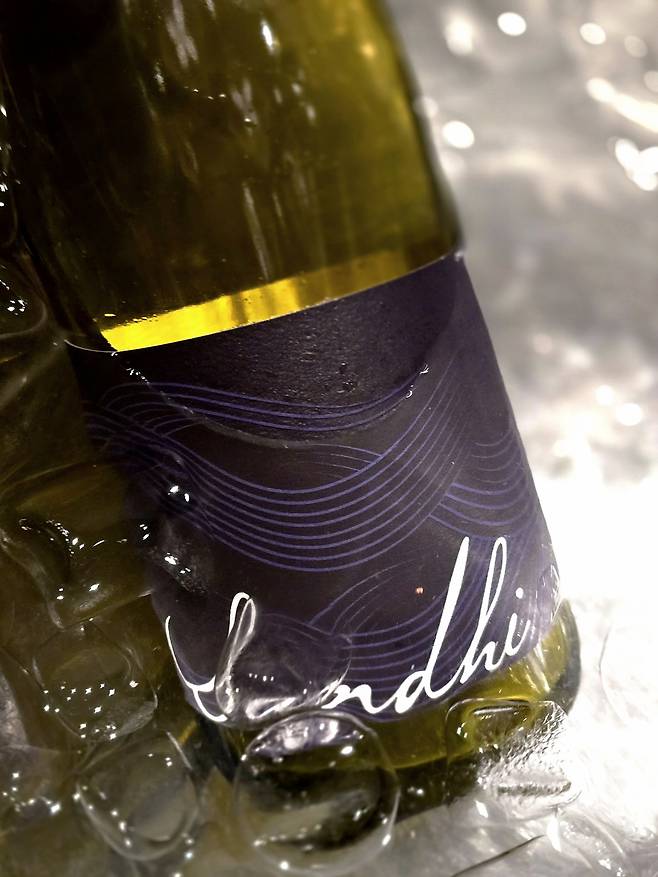 산디 산타 리타 힐스 샤르도에. 최현태 기자