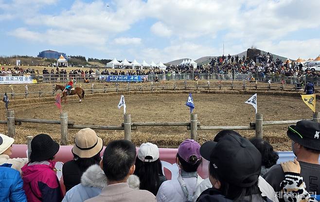 제주들불축제 현장에서 만날 수 있는 마상마예 공연에 구경꾼들이 몰려 있다.