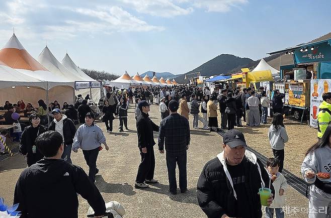 제주들불축제 마지막 날인 14일 제주시 애월읍 새별오름 일대.