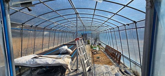 A씨가 직접 만든 비닐하우스 내부 모습. 손재주가 좋았다고 한다. 김준희 기자