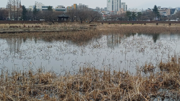 지난 14일 운천저수지 수변공원의 호수가 다시 메워진 모습. 김현수 기자