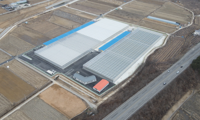 경북 봉화군이 총사업비 245억 원을 투입해 조성한 임대형 스마트팜단지 전경. 봉화군 제공