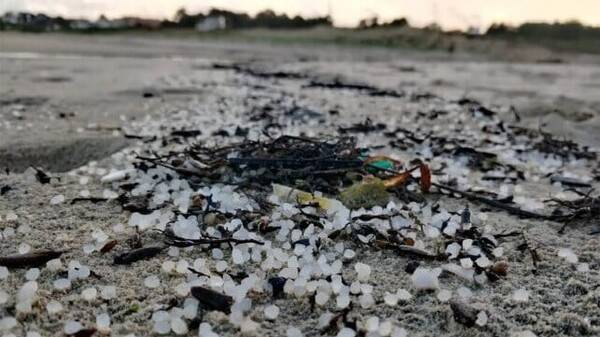 해안에 밀려온 플라스틱 펠릿 / 그린피스