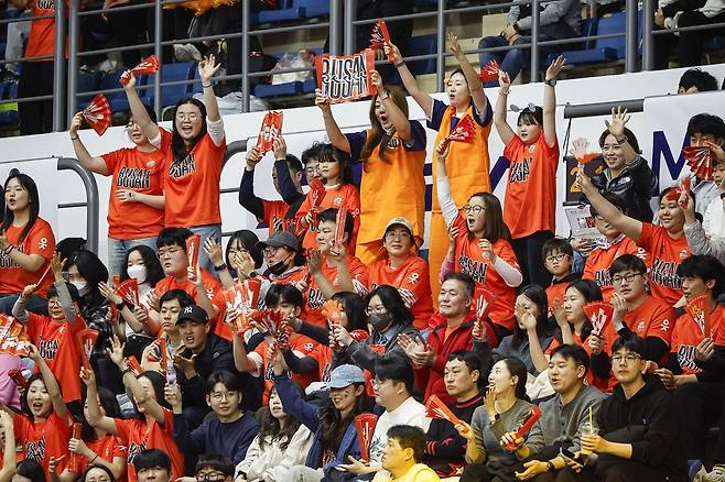 OK저축은행을 응원하는 팬들(KOVO제공)