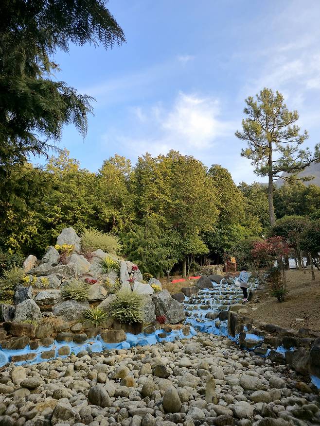 정남진 편백숲 우드랜드.