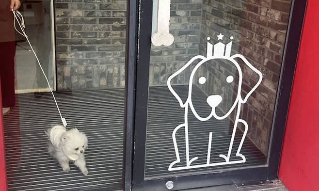 서울 마포구 염리동 할리스 반려동물 친화 매장에서 한 반려견이 문 앞으로 다가오고 있는 모습. 연합