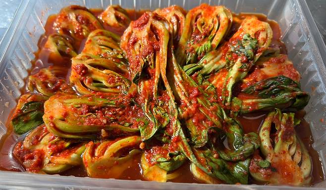 용인 청경채김치의 기원은 2013년으로 거슬러 올라간다. 버려진 청경채를 씻고 다듬어 김치를 담궜고, 이를 주변 사람들에게 나눠주기 시작했다. /신현정 기자 god@kyeongin.com