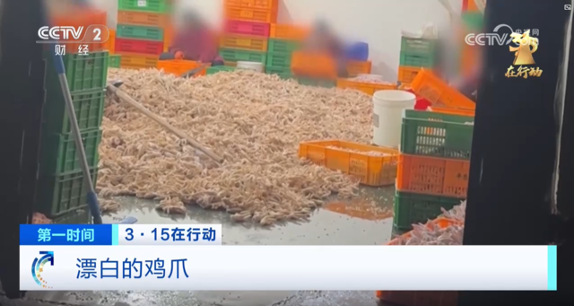 중국 쓰촨성 청두의 한 식품가공업체에서 비위생적인 닭발 작업 현장이 포착됐다. CCTV 보도 화면 캡처