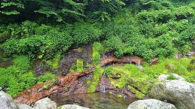 한라산 어리목계곡 용천수 모습. 사진 제공=국가유산청