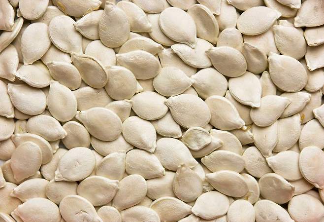 동물성 식품이 아닌 채소를 통해서도 철분을 섭취할 수 있다. /클립아트코리아