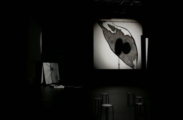 임고은 작 ‘그림자 숲_무리달 테의 궤적’ <ACC 제공>