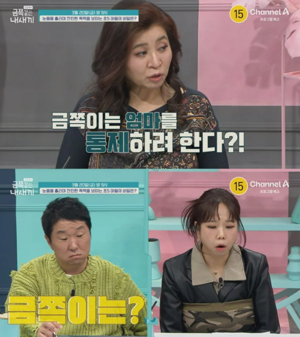 ⓒ채널 A