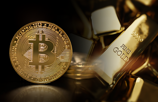 비트코인이 금 대비 상대적 강세를 보였다. 그래픽=박혜수 기자