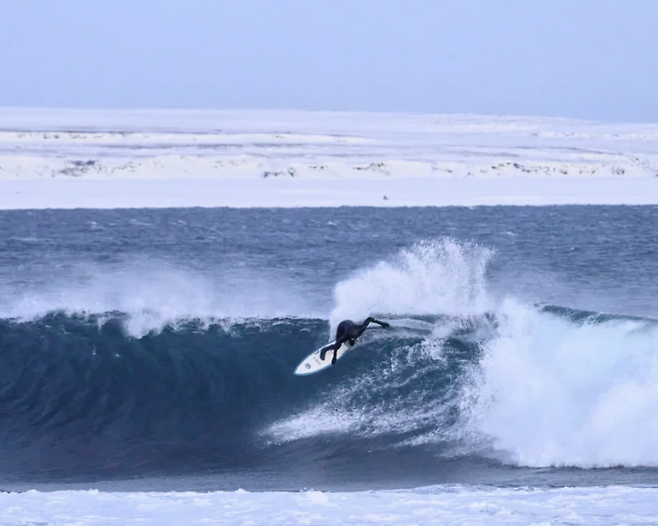 노르웨이 북부 바렌츠해 해안에서 눈과 얼음으로 뒤덮인 겨울 풍경 속에 서핑을 하고 있는 장면. CNN