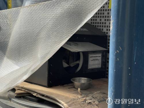 ◇춘천시 조양동 인근 주택가에 마련된 길고양이 보금자리. 사진=손지찬 기자