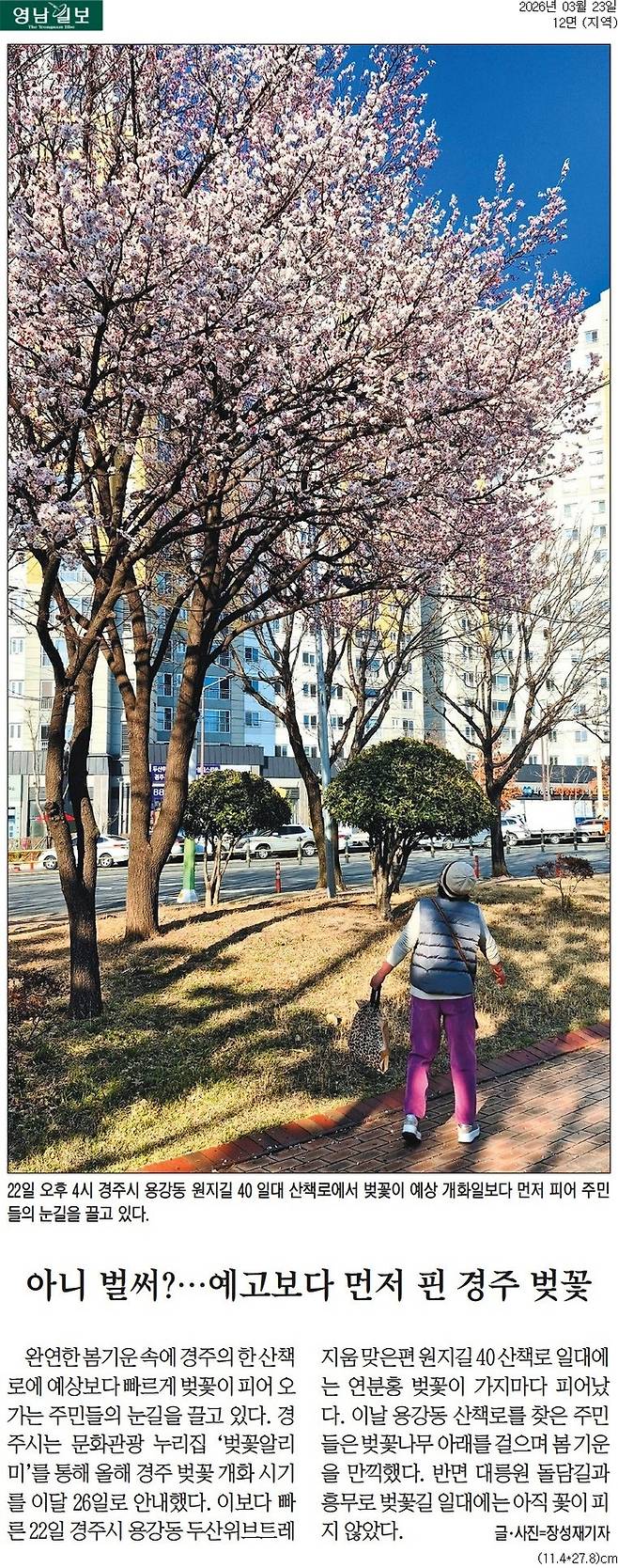 2026년 3월23일 본보 12면