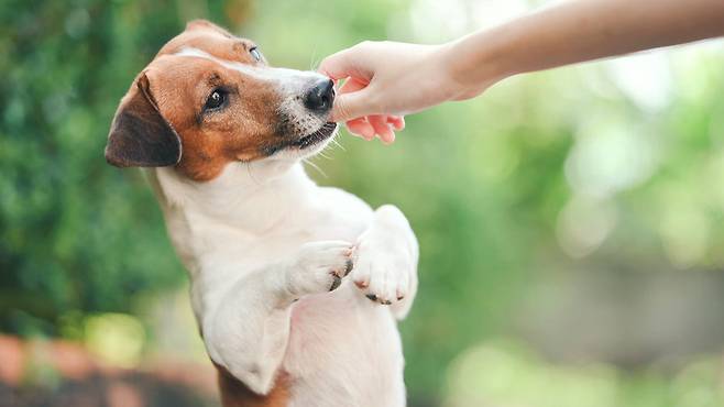 게티이미지뱅크