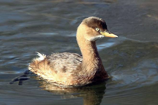 국립생물자원관