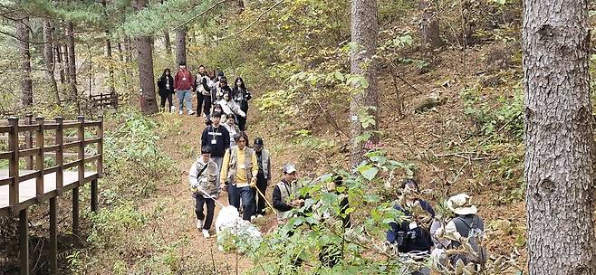 반려인·반려견들이 양평치유의 숲에서 산책을 하고 있다. <양평치유의숲 제공>