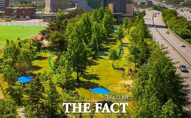 현재 운영 중인 수지구 용인아르피아 파크골프장 전경. /용인시