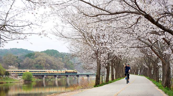 ▲ 경기도 로컬관광 공모에 선정된 '교외선 아트-플롯' 사업 대상지인 일영역 일대. 양주시는 이번 사업을 통해 장흥을 경기 북부 예술 관광의 관문으로 조성한다는 방침이다. /인천일보 DB
