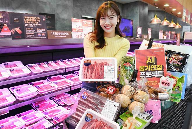 홈플러스, 실속형 소비를 겨냥한 'AI 물가안정 프로젝트'