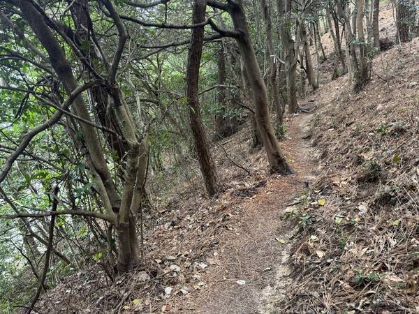 통영RCE세자트라숲에서 이순신공원 가는 길. /이서후 기자