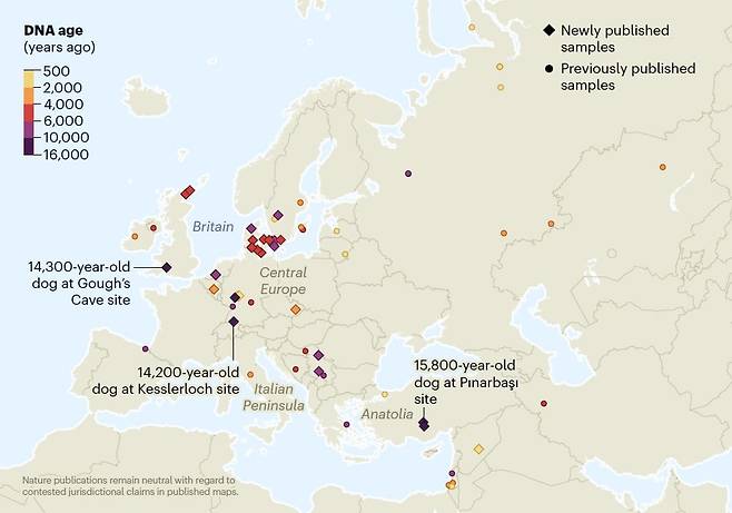가축화된 개가 발굴된 지역들. 튀르키예 피나르바시(Pınarbaşı)에서 발굴된 개 유골은 약 1만 5800년 전 것이며, 영국 고프 동굴(Gough’s Cave)에서는 약 1만 4300년 전, 스위스 케슬러로흐(Kesslerloch)에서는 약 1만 4200년 전 개 유골이 나왔다. 이들의 DNA를 해독한 결과, 가축화된 개는 농업이 도입되기 전인 구석기 시대에 유라시아 서부 전역에 널리 퍼졌다는 사실이 확인됐다./Nature