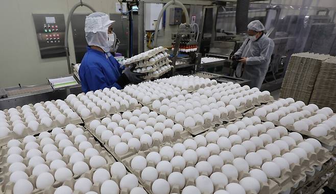 이재식 농림축산식품부 축산정책관은 27일 정부세종청사에서 열린 확대간부회의에서 태국산 계란 224만개 수입을 추진한다고 밝혔다. 사진은 지난 1월 계란 수급 불안 대비해 수입한 미국산 신선란 ⓒ연합뉴스