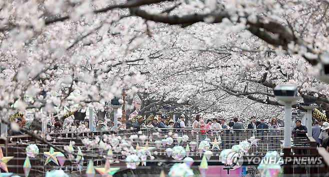 봄의 입구 '진해군항제' (창원=연합뉴스) 김동민 기자 = 국내 최대 봄꽃 축제 '진해군항제' 개막일인 27일 오후 경남 창원시 진해구 여좌천 일대를 찾은 관광객이 벚꽃을 구경하며 봄기운을 만끽하고 있다.
이날 진해구 최고기온은 22도를 기록했다. 2026.3.27 image@yna.co.kr