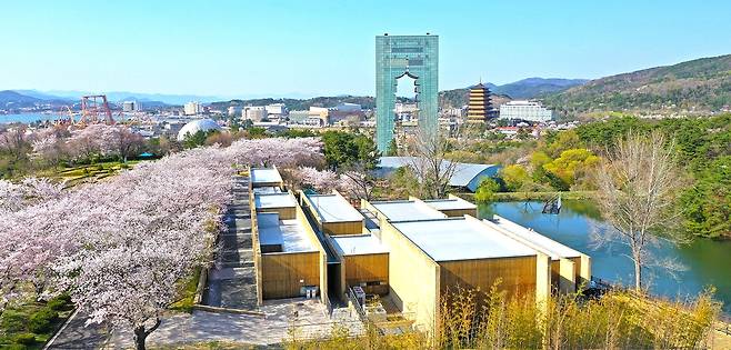 경주엑스포공원 경주타워를 배경으로 이어진 벚꽃길이 화사한 풍경을 연출하고 있다./경북문화관광공사 제공